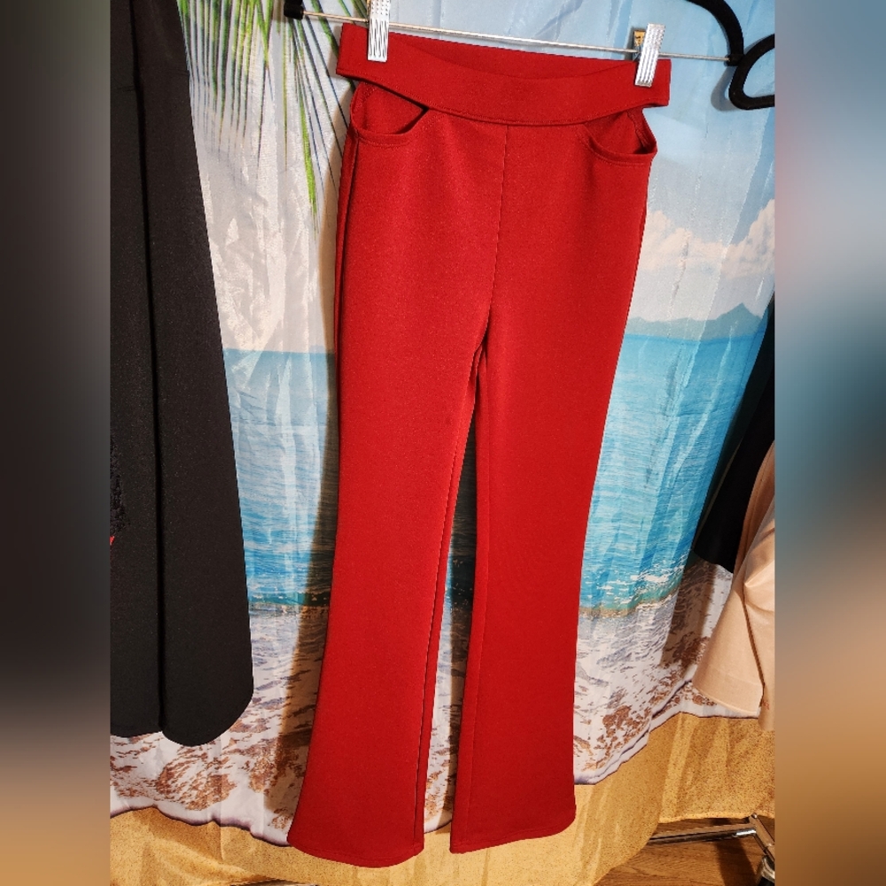 Wild Fable size XXS Red Pants